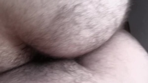 A teddy bear acquires a ramrod into his shaggy butt