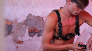 Harnessed for Anal Fun