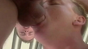 Falcon Icons: The 1990's: Bryan Williams: Firestorm of Desire